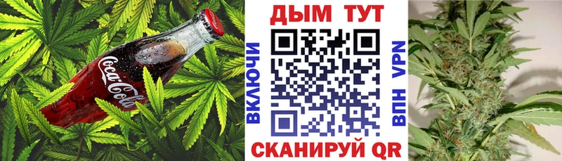 мега вход Новосибирск Еда ТГК марихуана