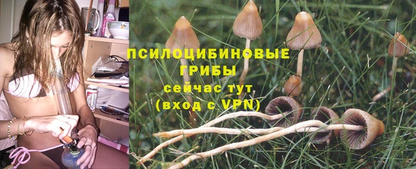 эйфоретик Алзамай