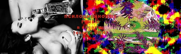 молекула духа Алексеевка