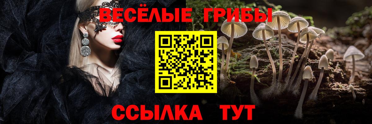 Псилоцибиновые грибы Psilocybine cubensis  Вход с VPN  Новосибирск 
