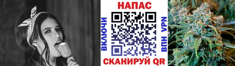 Конопля White Widow  купить наркотики цена  Новосибирск 